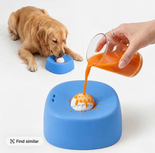 Pet treat bowl