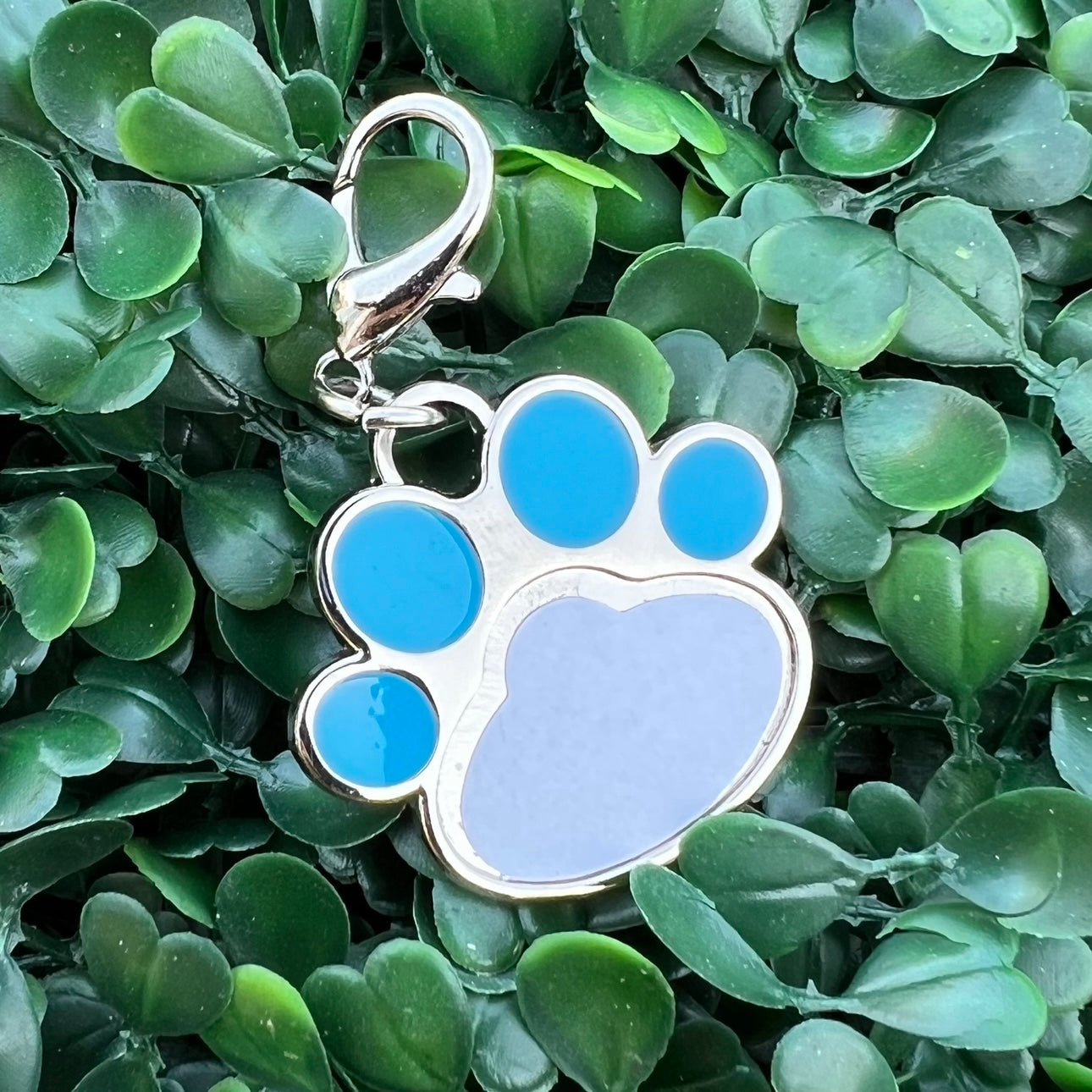 Small custom pet name/photo tag/keychain