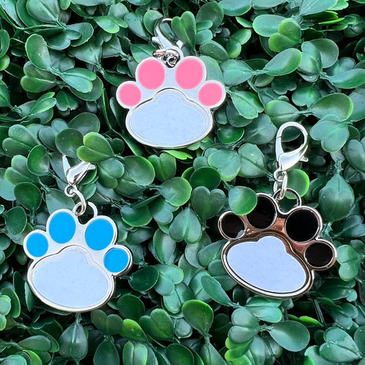 Small custom pet name/photo tag/keychain