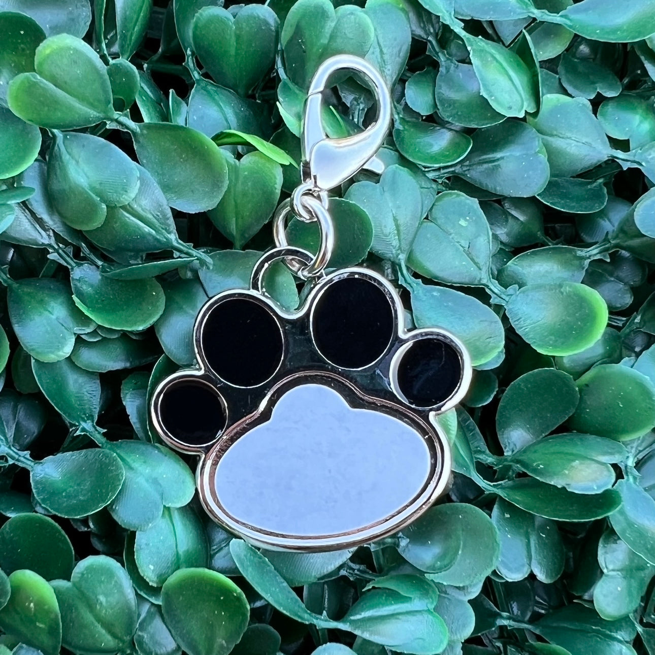 Small custom pet name/photo tag/keychain