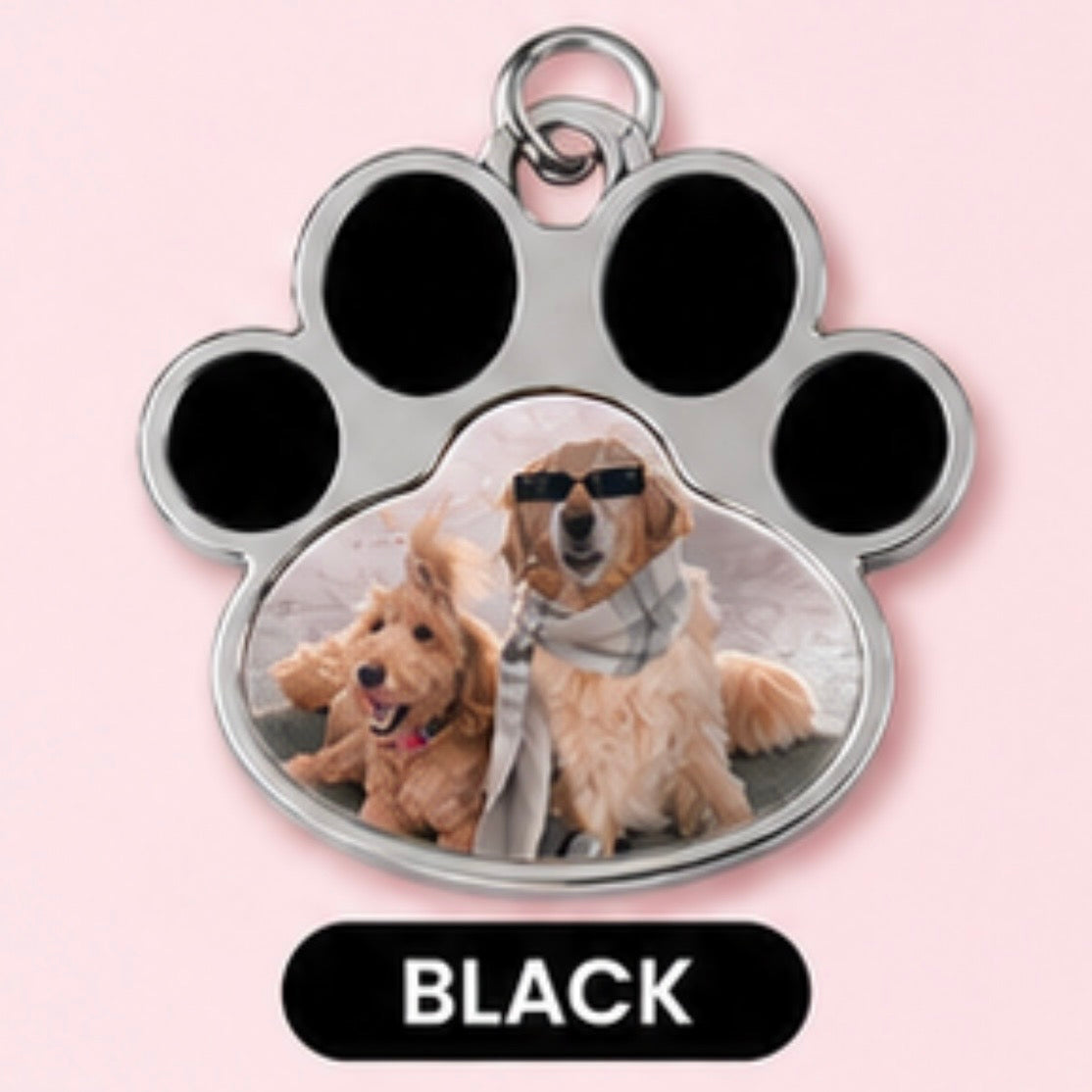 Small custom pet name/photo tag/keychain