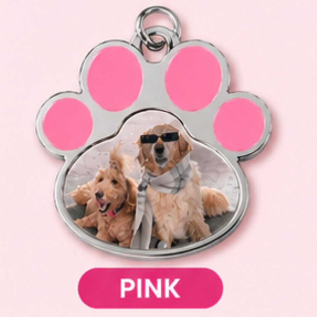 Small custom pet name/photo tag/keychain